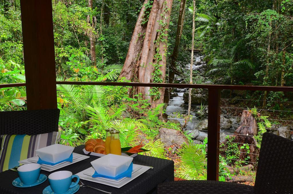 Black Palm Cape Tribulation Bilik gambar